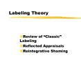 Labeling Theory PowerPoint PPT Presentation