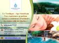 Le plus beau Spa de la région de Québec: Le Nordique Spa Stoneham PowerPoint PPT Presentation