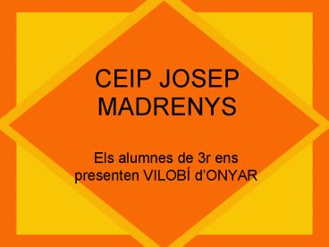 CEIP JOSEP MADRENYS