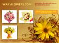 Best Flowers Delivery to Mohali : Send Gift, Cakes to Mohali PowerPoint PPT Presentation