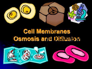 Cell Membranes Osmosis and Diffusion