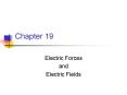 Electric Forces PowerPoint PPT Presentation