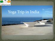 Yoga and Meditation Trip in India