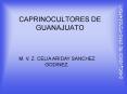 CAPRINOCULTORES DE GUANAJUATO PowerPoint PPT Presentation