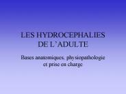 LES HYDROCEPHALIES DE L