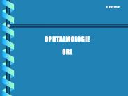 Aucun titre de diapositive