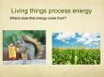 Living things process energy PowerPoint PPT Presentation
