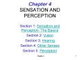 Chapter 4 SENSATION AND PERCEPTION PowerPoint PPT Presentation
