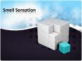 Smell Sensation PowerPoint PPT Presentation