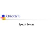Special Senses