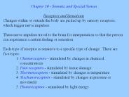 Chapter 10 - Somatic and Special Senses