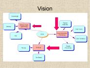 Vision