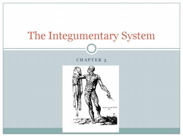 The Integumentary System