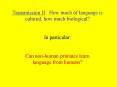 Transmission II: How much of language is cultural, how much biological? PowerPoint PPT Presentation