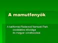 A mamutfenyok PowerPoint PPT Presentation