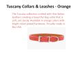 Dog Collars and Leashes PowerPoint PPT Presentation