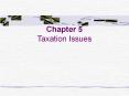 Chapter 5  Taxation Issues PowerPoint PPT Presentation