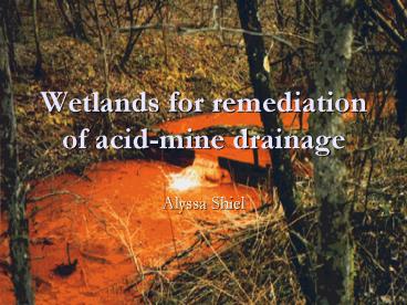 Wetlands for remediation of acid-mine drainage