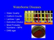 Waterborne Diseases