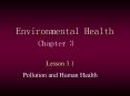 Environmental Health PowerPoint PPT Presentation