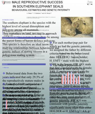 Nessun titolo diapositiva