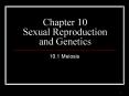 Chapter 10 Sexual Reproduction and Genetics PowerPoint PPT Presentation