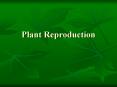 Plant Reproduction PowerPoint PPT Presentation