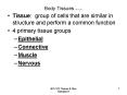 Body Tissues rev 12-12 PowerPoint PPT Presentation