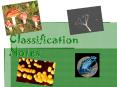 Classification Notes PowerPoint PPT Presentation