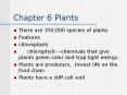 Chapter 6 Plants PowerPoint PPT Presentation