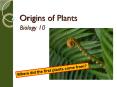 Origins of Plants PowerPoint PPT Presentation