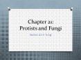 Chapter 21: Protists and Fungi PowerPoint PPT Presentation