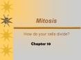 Mitosis PowerPoint PPT Presentation