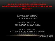 INVESTIGADOR PRINCIPAL 