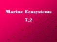 Marine Ecosystems PowerPoint PPT Presentation
