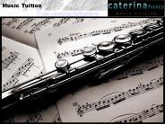 Flute Lessons Sutherland Shire