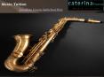 Saxophone Lessons Sutherland Shire PowerPoint PPT Presentation