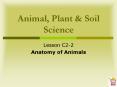 Animal, Plant PowerPoint PPT Presentation