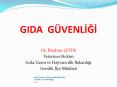 GIDA G PowerPoint PPT Presentation