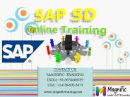 sap sd online training in sweden