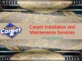 Carpet Installation and Maintenance Services PowerPoint PPT Presentation