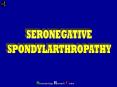 SERONEGATIVE PowerPoint PPT Presentation