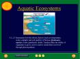 Aquatic Ecosystems PowerPoint PPT Presentation