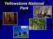 Yellowstone National Park