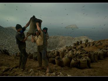 Getting the most from your soil tests