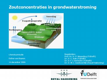 Zoutconcentraties in grondwaterstroming