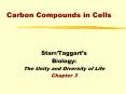 Carbon Compounds in Cells PowerPoint PPT Presentation