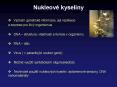 Nukleov PowerPoint PPT Presentation