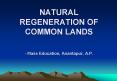 NATURAL REGENERATION OF COMMON LANDS  - Mass Education, Anantapur, A.P. PowerPoint PPT Presentation