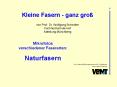 Kleine Fasern - ganz gro PowerPoint PPT Presentation